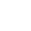 brain icon
